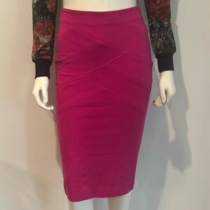 Express Fuchsia Pink Fitted Pencil Skirt – Size 0